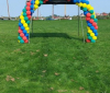 30-jarig-jubileum-2CVkitcarclub-fotos-Marianne-van-der-Avoird-foto-2