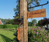 2cvkitcarclub vakantieweek 2021 Mirjam van Oorspronk