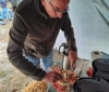 2cvkitcarclub verkorte vakantieweek Nederland