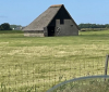 2cvkitcarclub.nl_Rondje_Texel_26-06-2022_foto-4