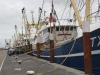 2CVkitcarclub toertocht op Texel 2015 Mirjam van Oorspronk