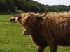 2CVkitcarclub toertocht op Texel 2015 Mirjam van Oorspronk