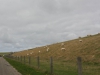 2CVkitcarclub toertocht op Texel 2015 Mirjam van Oorspronk